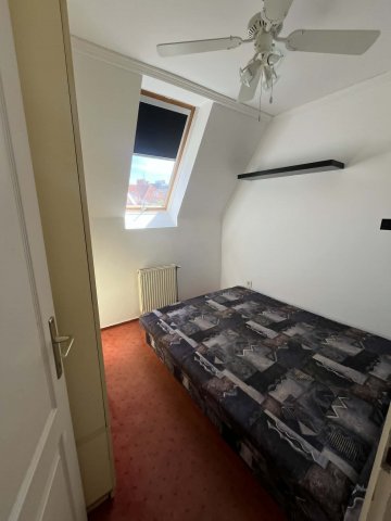 Kiadó téglalakás, albérlet, Kecskeméten, Füzes utcában