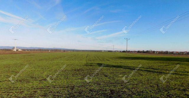 Eladó mezogazdasagi ingatlan, Mezőkövesden 19 M Ft