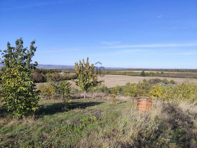 Eladó mezogazdasagi ingatlan, Nádasdladányban 8 M Ft