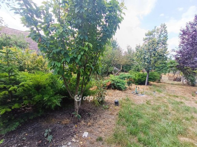 Eladó családi ház, Kiskunlacházán 55 M Ft, 2+1 szobás