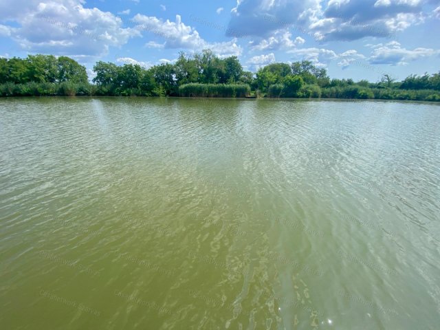 Eladó mezogazdasagi ingatlan, Békésszentandráson 12.5 M Ft