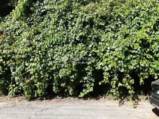 Eladó telek, Pécsett 3.6 M Ft / költözzbe.hu