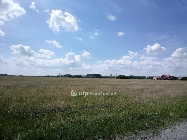 Eladó telek, Berettyóújfaluban 5.99 M Ft / költözzbe.hu