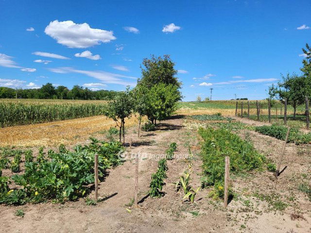 Eladó családi ház, Enyingen 48.5 M Ft, 4 szobás