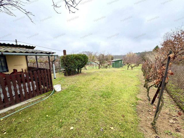 Eladó mezogazdasagi ingatlan, Nyírpazonyon 6.9 M Ft