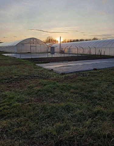 Eladó telek, Nagykanizsán 25.5 M Ft / költözzbe.hu