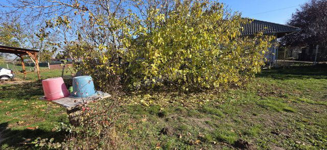 Eladó családi ház, Baracson 30 M Ft, 2 szobás