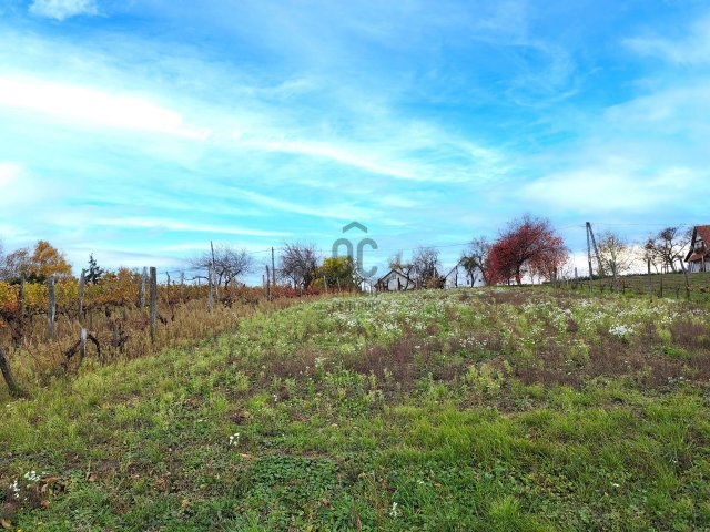 Eladó telek, Fehérvárcsurgón 11.9 M Ft / költözzbe.hu