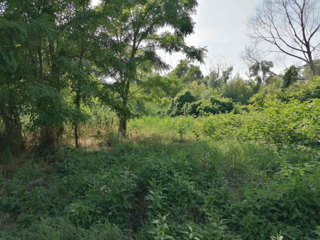 Eladó telek, Szőlősgyörökön 11.5 M Ft / költözzbe.hu