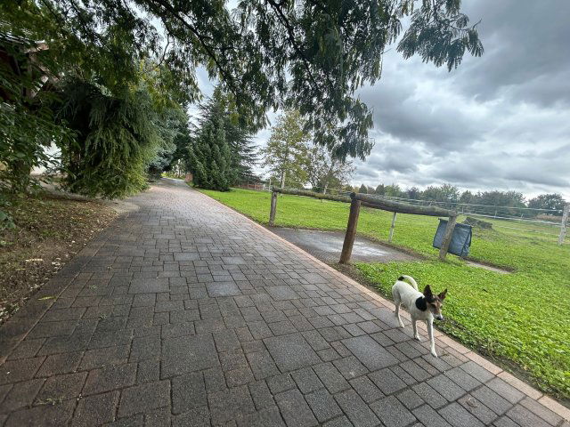 Eladó mezogazdasagi ingatlan, Gyugyon 295 M Ft