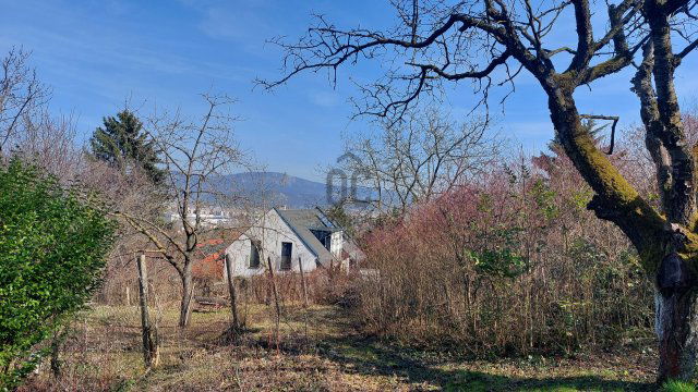 Eladó telek, Solymáron 73 M Ft / költözzbe.hu