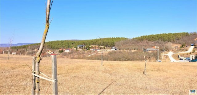 Eladó telek, Tinnyén 49.99 M Ft / költözzbe.hu