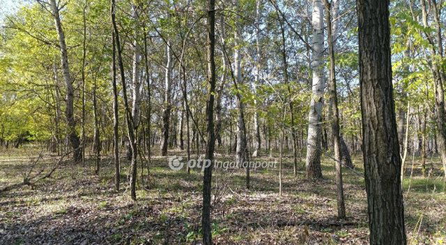 Eladó mezogazdasagi ingatlan, Zsanán 16.99 M Ft