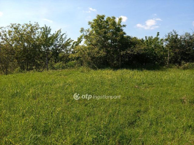 Eladó telek, Gyönkön 7.5 M Ft / költözzbe.hu