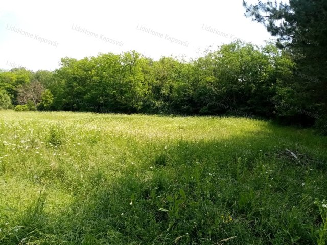 Eladó mezogazdasagi ingatlan, Igalon 2.1 M Ft