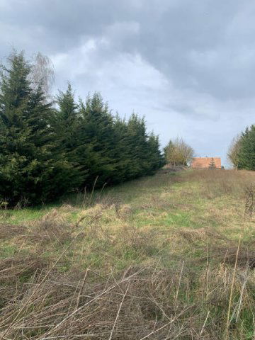 Eladó telek, Pilisszentivánon 59 M Ft / költözzbe.hu