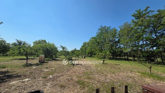 Eladó telek, Dunapatajon 10.5 M Ft / költözzbe.hu