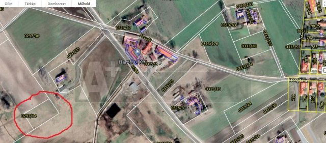 Eladó mezogazdasagi ingatlan, Domaszéken 2.99 M Ft