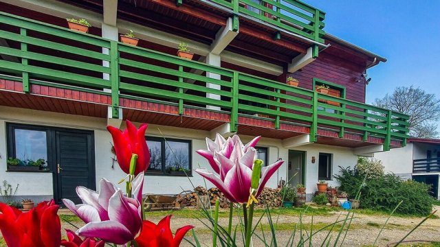 Eladó hotel, Lispeszentadorjánban 360 M Ft, 12 szobás