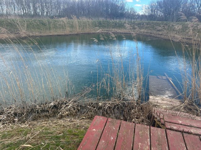 Eladó mezogazdasagi ingatlan, Balogunyomon 259 M Ft