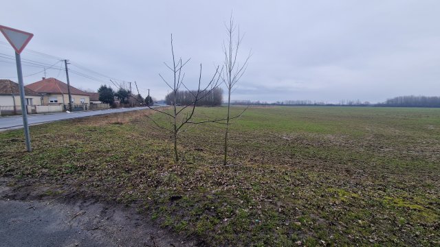 Eladó telek, Szilsárkányon 3.8 M Ft / költözzbe.hu