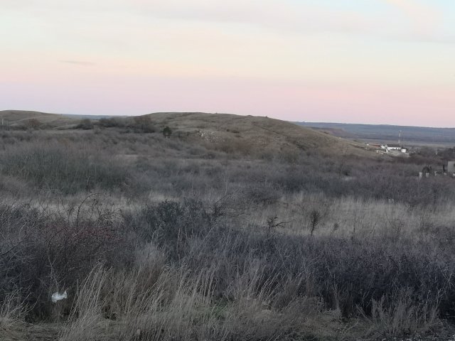 Eladó telek, Várpalotán 150 M Ft / költözzbe.hu