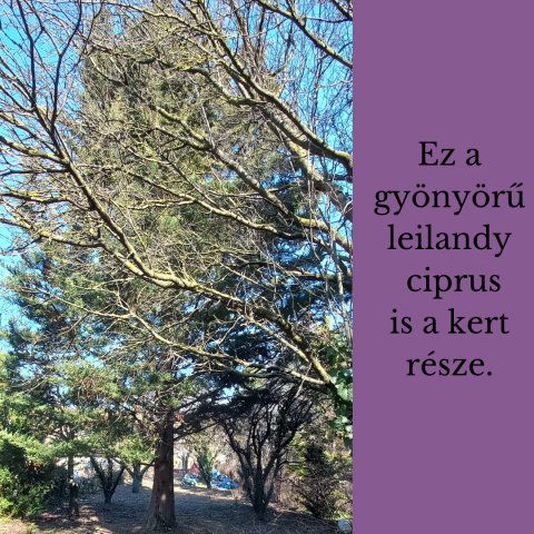 Eladó telek, Diósdon 44.5 M Ft / költözzbe.hu