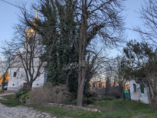 Eladó családi ház, Nemesvitán 24.5 M Ft, 2+1 szobás