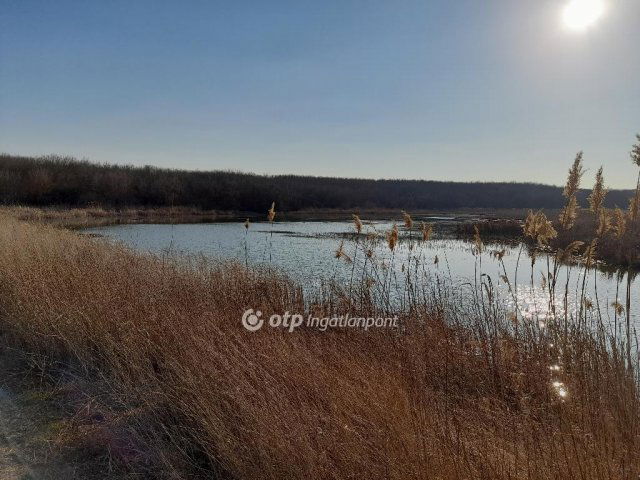 Eladó mezogazdasagi ingatlan, Úrin 60 M Ft / költözzbe.hu