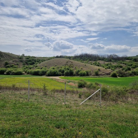 Eladó telek, Sóskúton 32 M Ft / költözzbe.hu