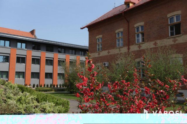 Kiadó iroda, Debrecenben 1600 E Ft / hó / költözzbe.hu