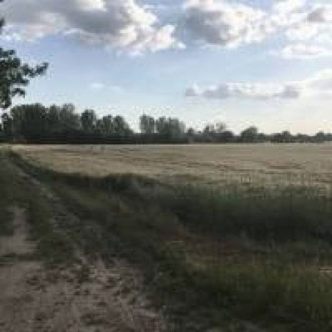 Eladó ipari ingatlan, Monoron 150 M Ft / költözzbe.hu