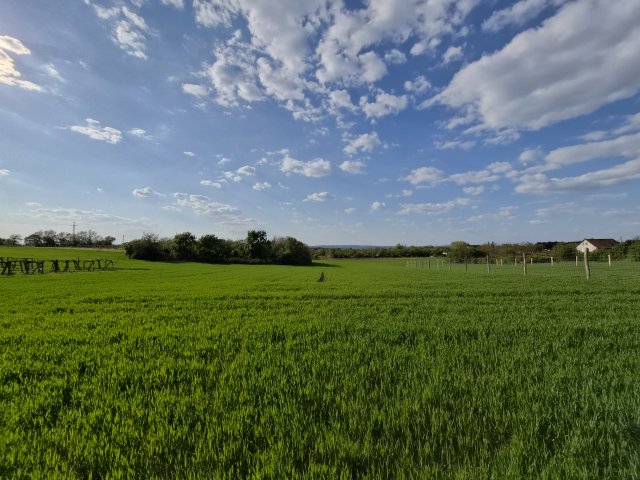 Eladó telek, Érden 26 M Ft / költözzbe.hu