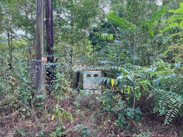 Eladó mezogazdasagi ingatlan, Kunadacson 5 M Ft