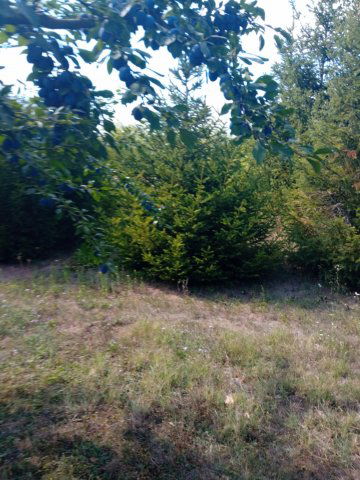 Eladó telek, Gyomaendrődön 13 M Ft / költözzbe.hu
