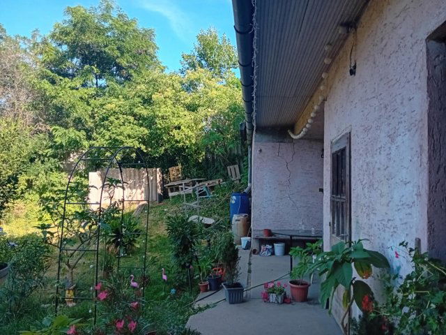Eladó családi ház, Mogyorósbányán 49 M Ft, 2 szobás