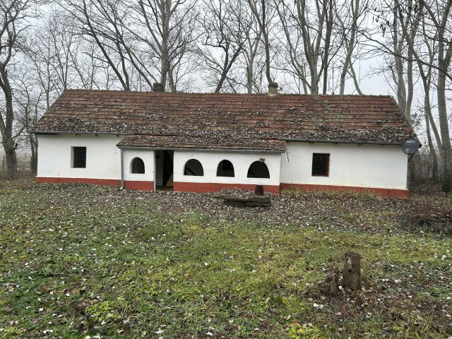 Eladó mezogazdasagi ingatlan, Kecskeméten, Ladánybenei úton