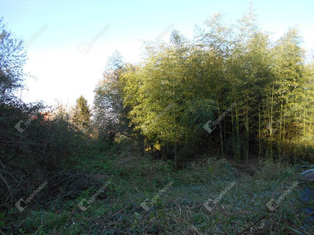 Eladó telek, Zalaegerszegen 9 M Ft / költözzbe.hu