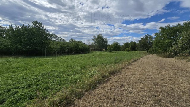 Eladó mezogazdasagi ingatlan, Balatonberényben 5.5 M Ft