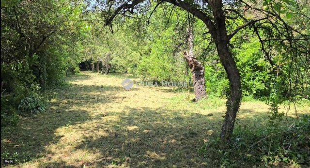Eladó családi ház, Nagymaroson 9.9 M Ft, 2 szobás