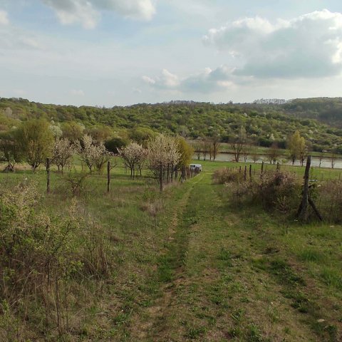 Eladó telek, Alsópetényen 7.5 M Ft / költözzbe.hu