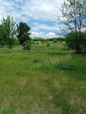 Eladó telek, Őrbottyánban 28 M Ft / költözzbe.hu