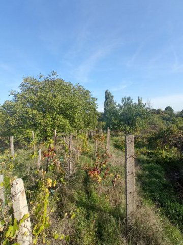 Eladó mezogazdasagi ingatlan, Monoron 5.6 M Ft