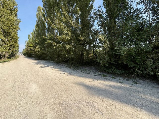 Eladó telek, Várpalotán 101.4 M Ft / költözzbe.hu