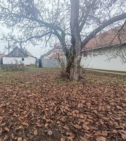 Eladó családi ház, Berettyóújfaluban 19.5 M Ft, 2 szobás