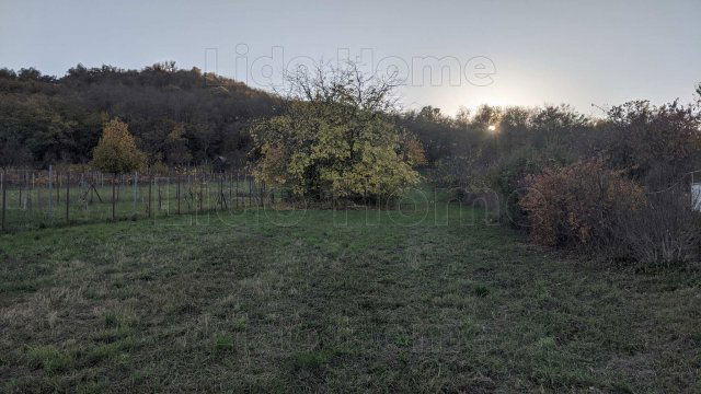 Eladó telek, Szigligeten 60 M Ft / költözzbe.hu