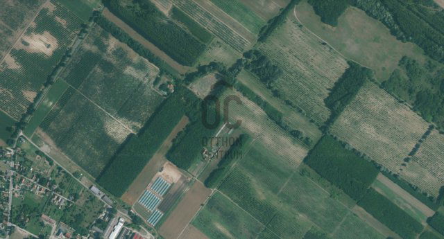 Eladó mezogazdasagi ingatlan, Dánszentmiklóson 3.9 M Ft