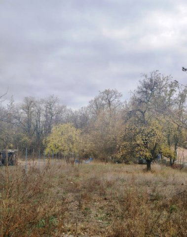 Eladó telek, Dabason 10 M Ft / költözzbe.hu