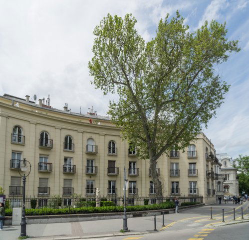 Kiadó iroda, Budapesten, VI. kerületben, Dózsa György úton