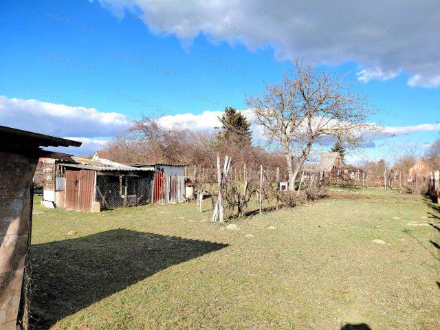 Eladó mezogazdasagi ingatlan, Cegléden 14.9 M Ft, 1 szobás